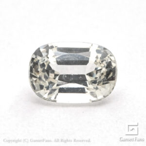 gglc0050-lot-00