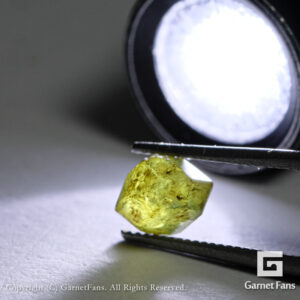 ggdm0222-mnl-00-6