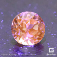 gglc0062-rnd-00