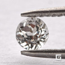 gglc0062-rnd-00
