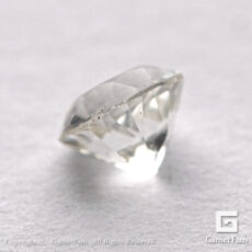 gglc0062-rnd-00