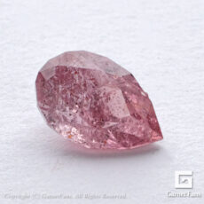 ggpy0183-prs-00