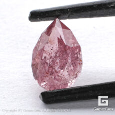 ggpy0183-prs-00