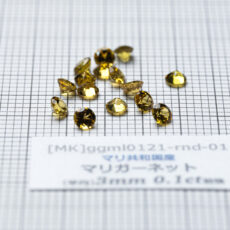 ggml0121-rnd-01