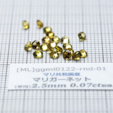 ggml0122-rnd-01