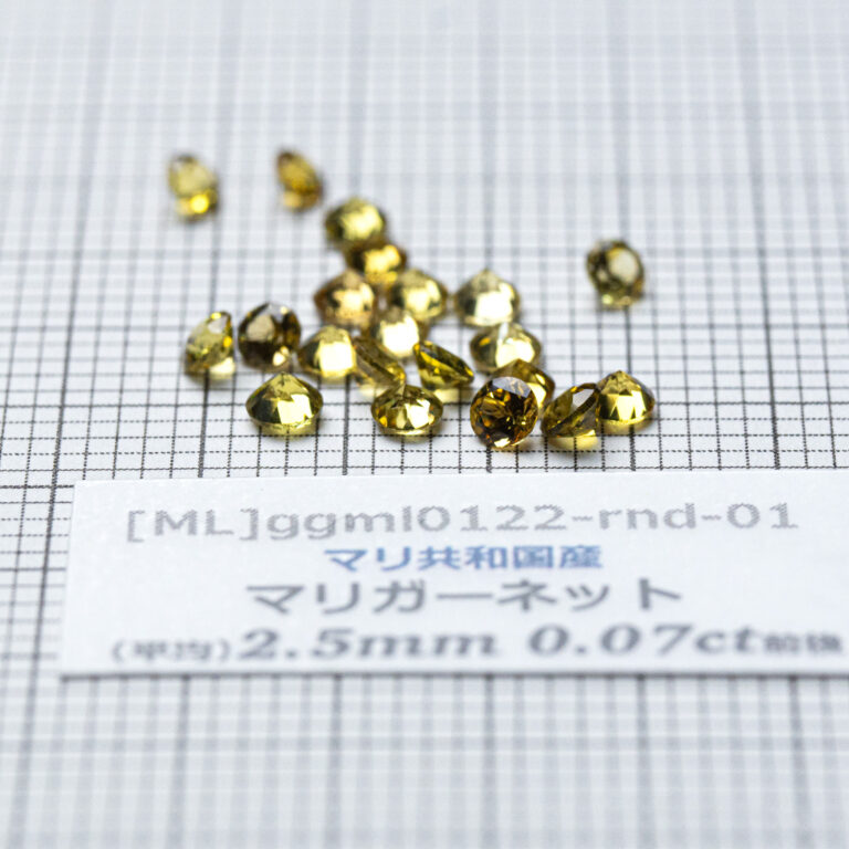 ggml0122-rnd-01