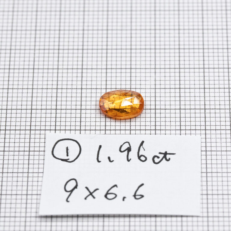 ggst0191-rzc-00_01