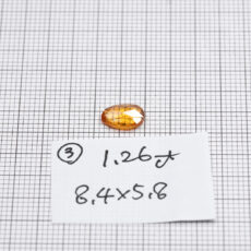 ggst0191-rzc-00_03