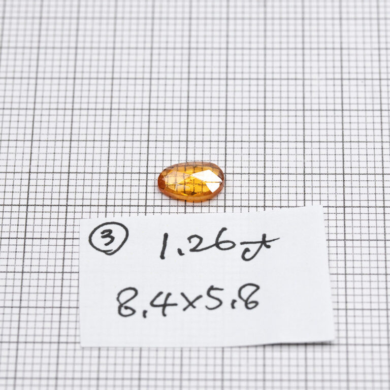 ggst0191-rzc-00_03
