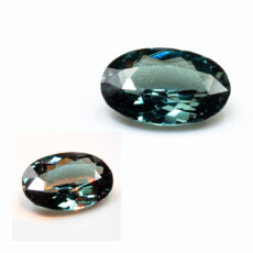 ggcg0231-ovl-00