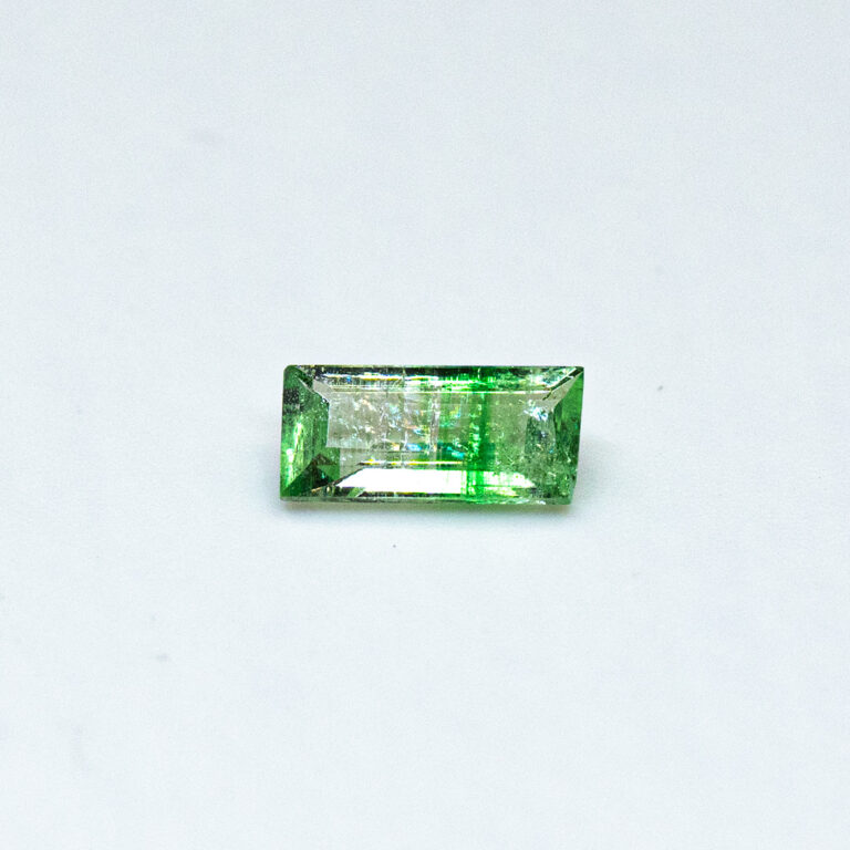 gggr0162-bgt-00