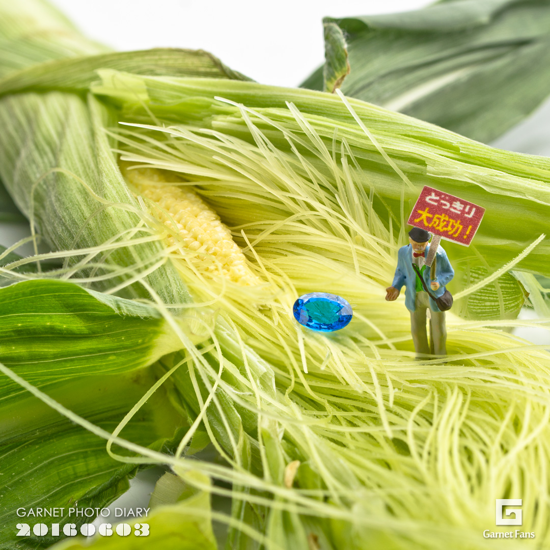 そのもの青き衣をまといて金色の野に降り立つべし いやぁ ワシじゃないと思うのだが ガーネット専門店ガーネットファンズ