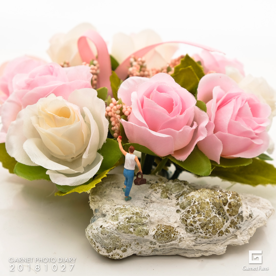 野に咲く花にも役目があります この世に必要でない人はいません それに気付くかどうか それが大事なのです ガーネット専門店ガーネットファンズ